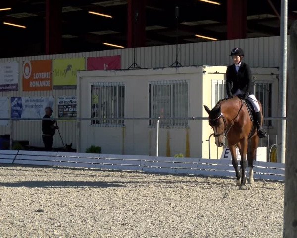 Reitturnier Dompierre 2022