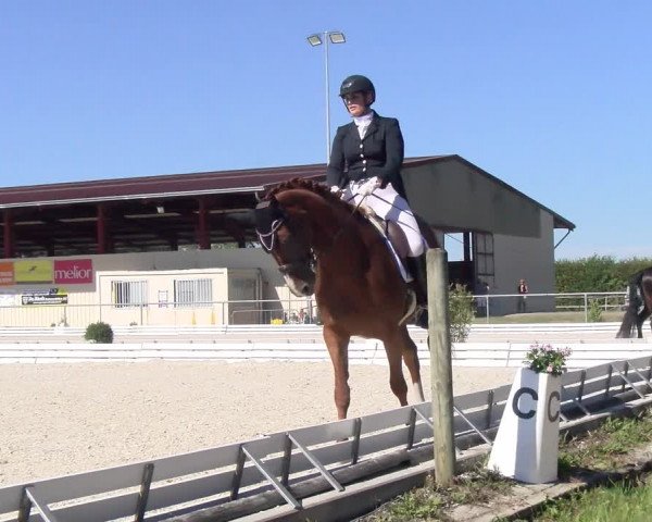 Reitturnier Dompierre 2022