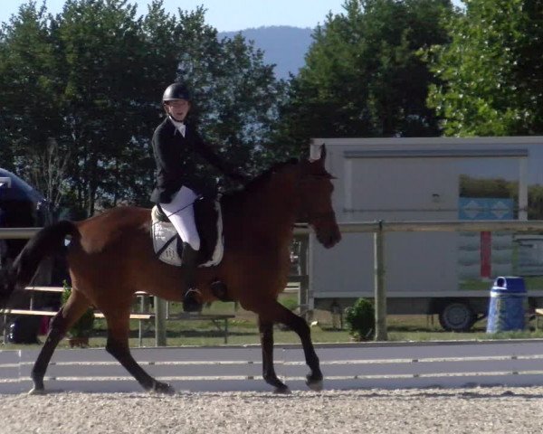 Reitturnier Dompierre 2022
