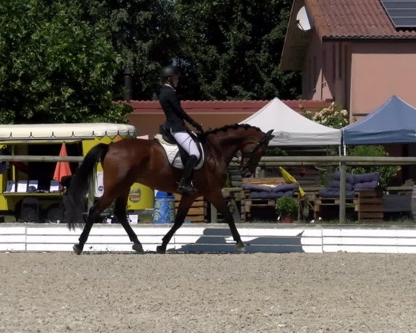 Reitturnier Dompierre 2022
