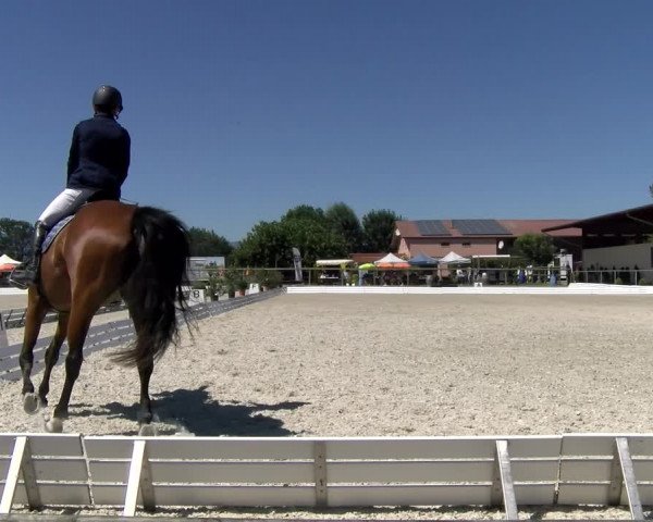 Reitturnier Dompierre 2022