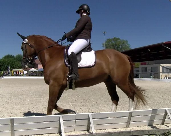 Reitturnier Dompierre 2022