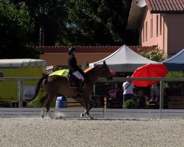 Reitturnier Dompierre 2022