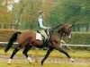 stallion Duros 3471 (Brandenburg, 1985, from Duralin III)