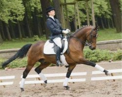 Pferd Pirat B3 (Deutsches Reitpony, 1996, von Pernod Black)