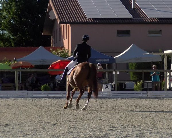 Reitturnier Dompierre 2022
