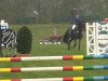 jumper Escada 173 (Hanoverian, 2004, from Escudo I)