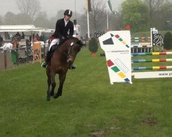 dressage horse Athena 137 (Trakehner, 2001, from Domhardt)