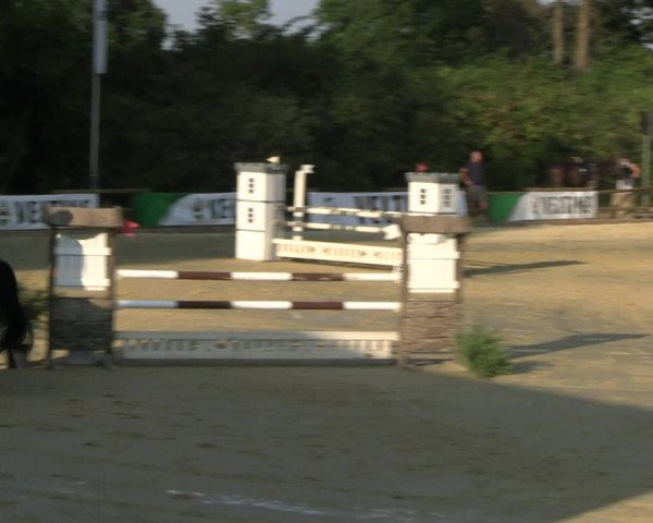 Reitturnier Vellinghausen 2022