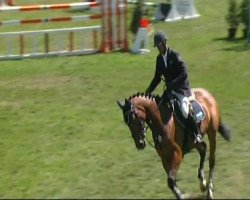 Springpferd Anastasia (Westfale, 2005, von Araconit)