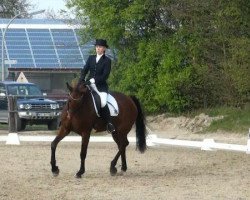 dressage horse Fabienne R 3 (Westphalian, 1999, from Florestan I)