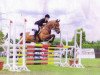 jumper Santiago 188 (Hanoverian, 2003, from San Juan)