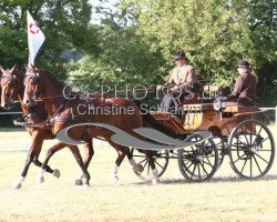 jumper Freaky Boy (Hanoverian, 2003, from Forsyth)