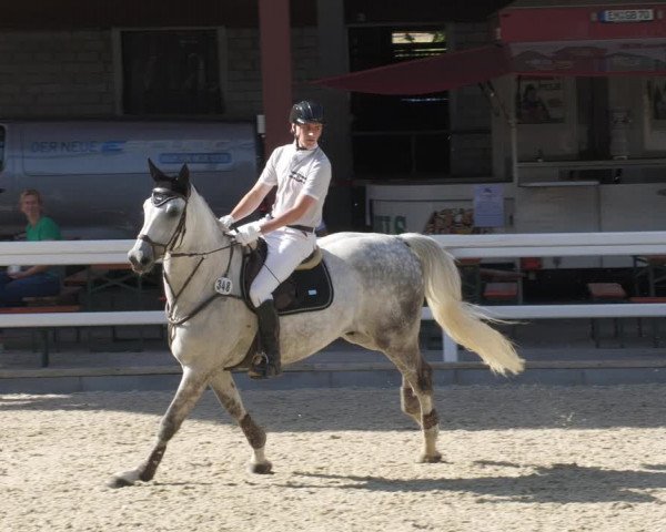 Reitturnier Gundelfingen 2022