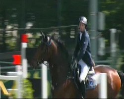 jumper Menado 2 (German Sport Horse, 2000, from Colonado)
