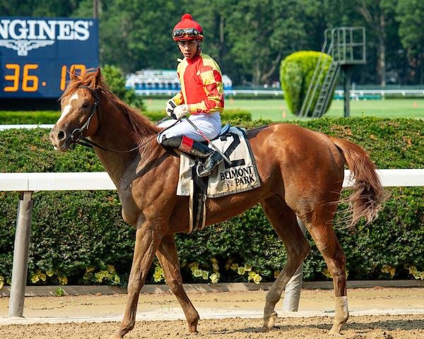 horse First Captain xx (Thoroughbred, 2018, from Curlin xx)