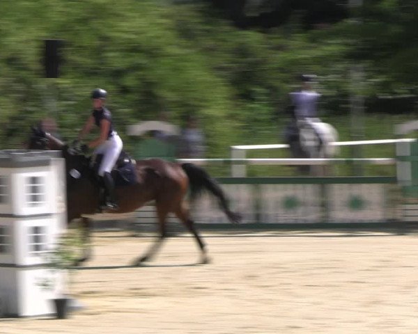 Reitturnier Vellinghausen 2022