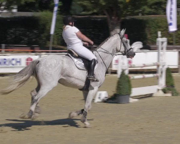 Reitturnier Oberderdingen 2022