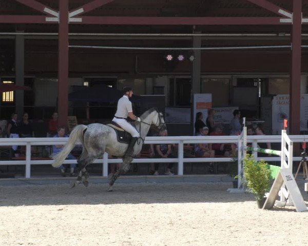 Reitturnier Gundelfingen 2022