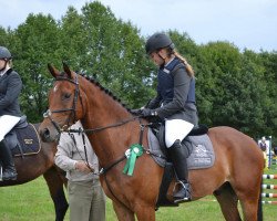 jumper Conan (German Sport Horse, 2006, from Collini)