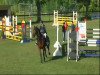 jumper Menado 2 (German Sport Horse, 2000, from Colonado)