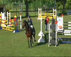 jumper Menado 2 (German Sport Horse, 2000, from Colonado)