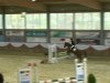 Zuchtstute Neele (Deutsches Reitpony, 2002, von Top Nonstop)