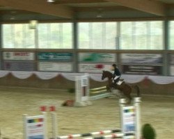 broodmare Neele (German Riding Pony, 2002, from Top Nonstop)