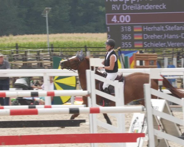 Reitturnier Gundelfingen 2022