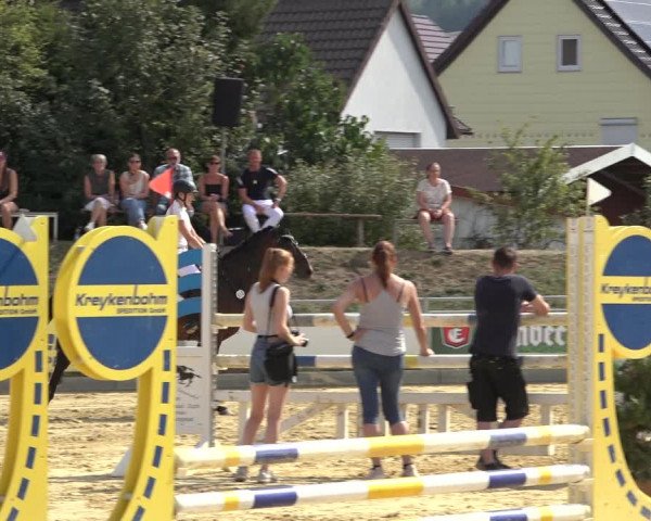 Reitturnier Kreiensen- Rittierode 2022