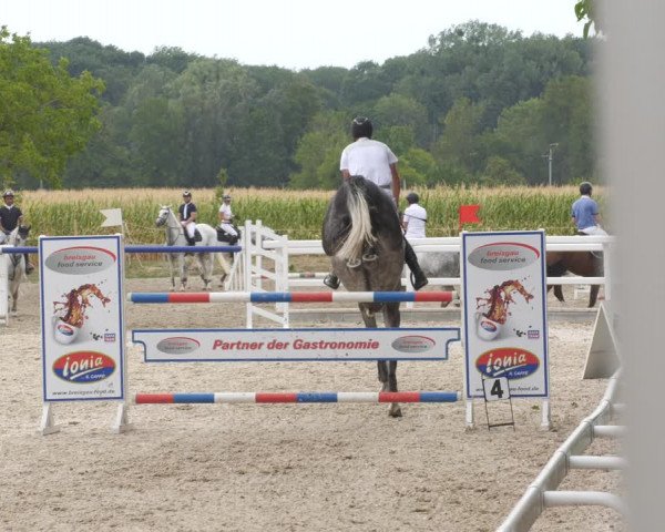 Reitturnier Gundelfingen 2022