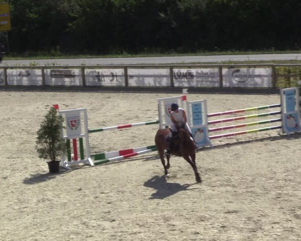 Reitturnier Münster-Amelsbüren 2022