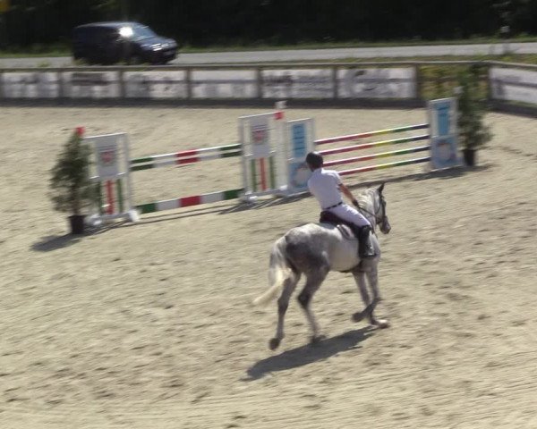 Reitturnier Münster-Amelsbüren 2022