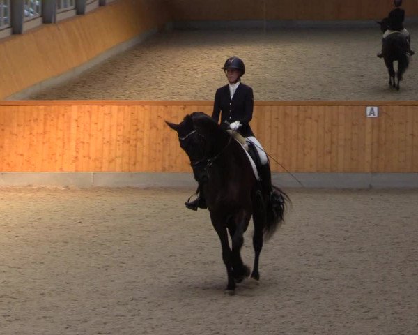 Reitturnier Münster-Amelsbüren 2022