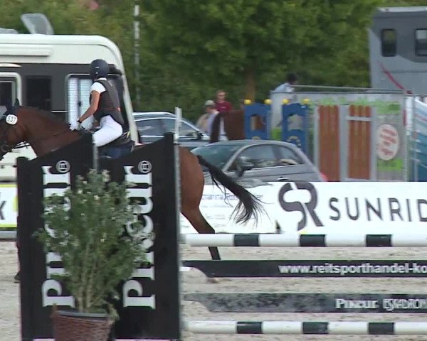 Reitturnier Grafenrheinfeld/Ufr. 2022