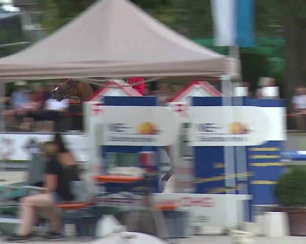 Reitturnier Grafenrheinfeld/Ufr. 2022