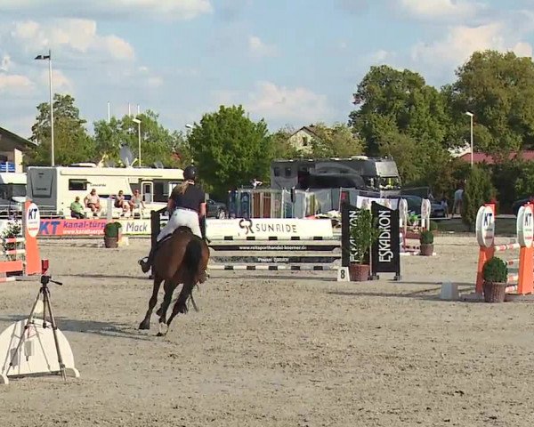Reitturnier Grafenrheinfeld/Ufr. 2022
