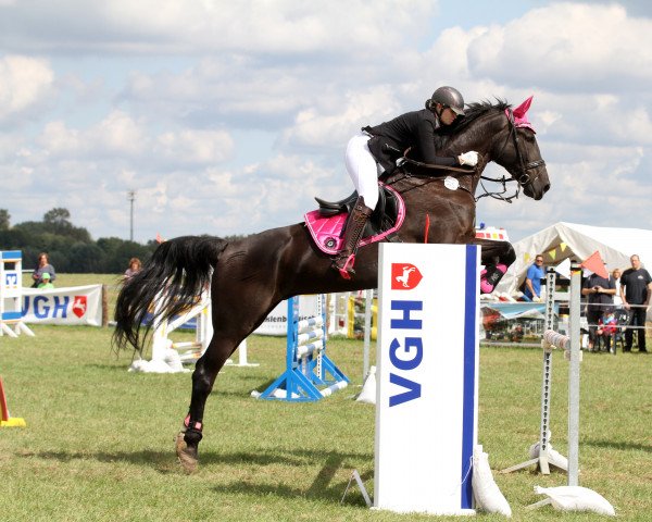 jumper Excalibur 105 (Hanoverian, 2004, from Earl)