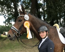 dressage horse Don Miguel (Bavarian, 2013, from Dante Weltino Old)