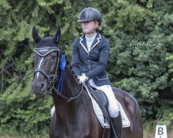 dressage horse Defender Doe (Hanoverian, 2009, from Dancier)