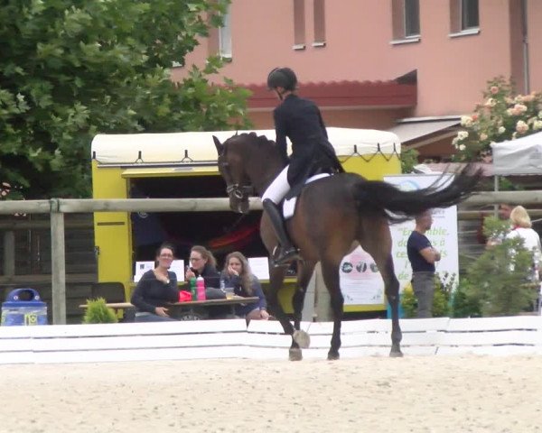 Reitturnier Dompierre 2022