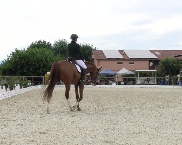 Reitturnier Dompierre 2022
