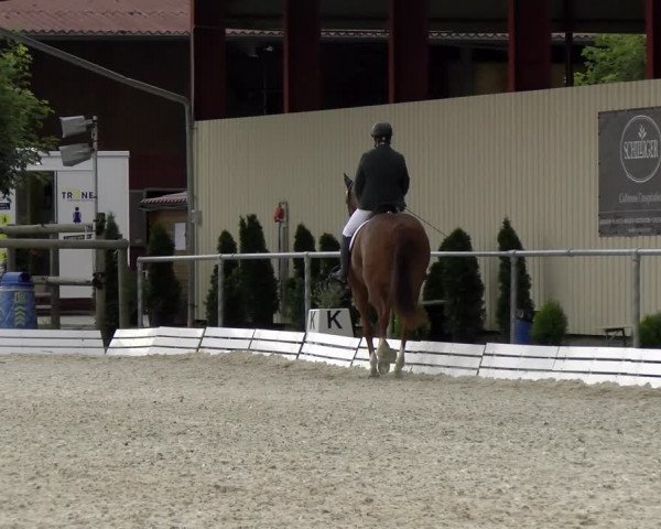 Reitturnier Dompierre 2022