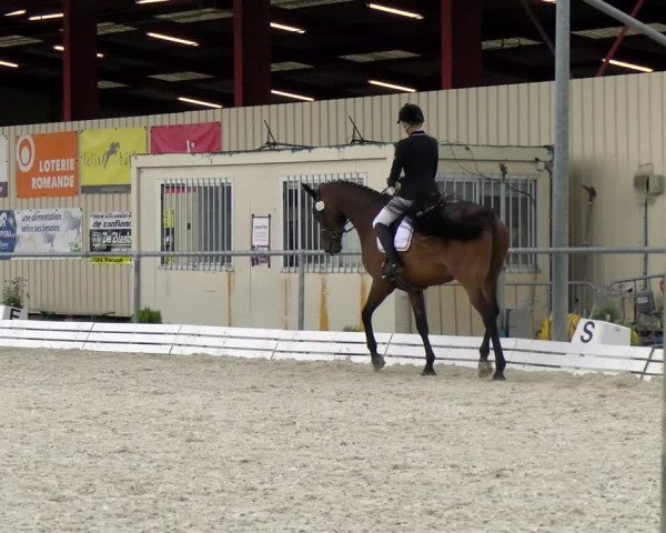 Reitturnier Dompierre 2022