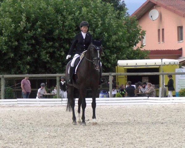 Reitturnier Dompierre 2022