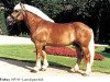 stallion Hoppeditz (Rhenish-German Cold-Blood, 1993, from Hubertus)