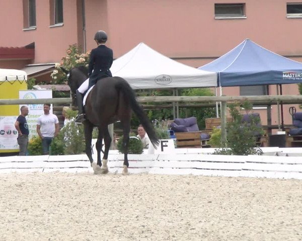 Reitturnier Dompierre 2022