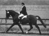 stallion Witbooi (Hanoverian, 1983, from Wendenburg)