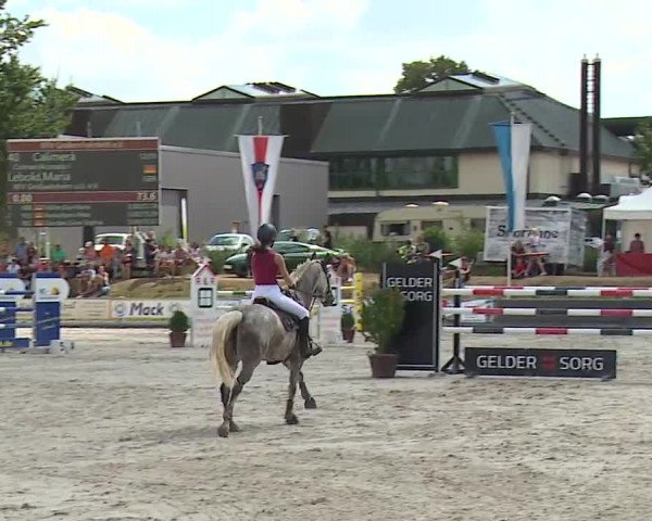 Reitturnier Grafenrheinfeld/Ufr. 2022