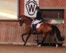 dressage horse Via Vitalia (Oldenburg, 2018, from Vitalis)